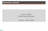 Enric Villalbí MSD Animal Health Cecav, mayo 2018Se establecen normas sobre la matanza de animales criados o mantenidos con vista a la producción de alimentos, lana, cuero, piel