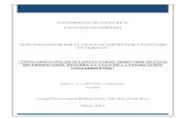 UNIVERSIDAD DE COSTA RICA FACULTAD DE DERECHO TESIS …iij.ucr.ac.cr/wp-content/uploads/bsk-pdf-manager/2017/06... · tesis para optar por el grado acadÉmico de licenciado en derecho