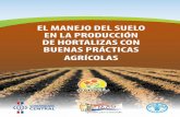 El manejo del suelo en la producción de hortalizas …mag.gov.py/dgp/Publicaciones recomendadas sector agrario...Esta cartilla sobre “EL MANEJO DEL SUELO EN LA PRODUCCIÓN DE HORTALIZAS