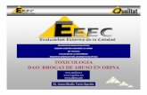 TOXICOLOGIA DAO: DROGAS DE ABUSO E ORI Aqualitat.cc/sitebuildercontent/sitebuilderfiles/2013_dao.pdf · FARMACODINAMIA • Estudio de los efectos bioquímicos y fisiológicos de los