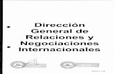 Dirección General de Relaciones y Negociaciones ...dinatran.gov.py/organigrama dinatran/organigrama relaciones internac.pdf · Manual de Cargos, Perfiles y Funciones DIRECCIÓN NACIONAL
