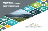 URUGUAY AGROINTELIGENTE - MGAP2.6. - Aportes de un programa de promoción de la Conciencia Agropecuaria a la sostenibilidad ... supermercado e intenta investigar la procedencia de