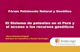 El Sistema de patentes en el Perú y el acceso a los ... · El Tratado de Cooperación en materia de patentes (PCT) es un acuerdo de cooperación internacional, que contempla un sistema