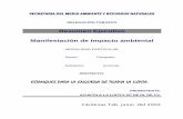 MANIFESTACIÓN DE IMPACTO AMBIENTALsinat.semarnat.gob.mx/dgiraDocs/documentos/tab/... · rústicos drenables, por lo cual se contara con sistemas de bombeo, así como la utilización