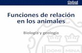 Funciones de relación en los animales · 2018-09-20 · Funciones de relación en los animales • Sistema de coordinación en animales • Los receptores sensoriales • Órganos