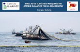IMPACTO EN EL MANEJO PESQUERO DEL CAMBIO ......The high seas, which cover nearly two-thirds of the ocean’s surface, have recently seen an increase in fishing and other activities,