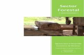 INFORME DE AVANCE(2) - Proy 63 118 - Diciembre07- Marzo08 · Proyecto: Programa “Matriz Productiva Sectorial – Sector Forestal”. ... de la Industria a efectos de poder efectuar