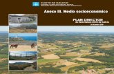 Anexo III. Medio socioeconómicomediorural.xunta.gal/fileadmin/arquivos/conservacion_natureza/plan_director_rn2000/...Plan Director da Rede Natura 2000 de Galicia. I ANEXO III. Medio