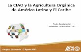 La CIAO y la Agricultura Orgánica de América Latina y El ... · Contribuir al desarrollo de la actividad orgánica y de su comercio (gestión del conocimiento e información) Fortalecimiento