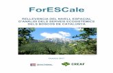 ForESCale · Els serveis ecosistèmics (SE o ES, de l’acrònim anglès Ecosystem Services) són els beneficis que l’home obté dels ecosistemes (Daily, 1997, de Grootet al. 2002)