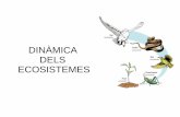 DINÀMICA DELS ECOSISTEMEScosmolinux.no-ip.org/recursos_aula/BIO2nBAT/Ecologia/... · 2019-06-04 · En ecosistemes joves, ecosistemes que estan creixent i evolucionant, la productivitat