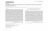 Modulación de la expresión de genes de incretinas mediada ...scielo.isciii.es/pdf/nh/v27n1/es_06_revision_05.pdf · tido análogo al glucagón 1 (GLP-1) y el péptido insulinotró-pico