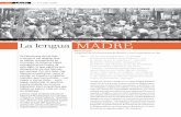 Lingüista de la Universidad de Boston y hoy cooperante en IDLidl.org.pe/idlrev/revistas/177/62-64.pdf · Las muchas variantes del quechua suelen ser divididas en dos categorías: