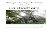 Volum 2: La Biosfera - gva.esiesteulada.edu.gva.es/portal/wp-content/uploads/2013/06/2-Biosfera.pdf · 12. Indica dos òrgans de l’aparell digestiu i un de l’aparell respiratori.