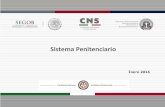 Presentación de PowerPointsecretariadoejecutivo.gob.mx/docs/pdfs/normateca/... · 2015), se estableció el Acuerdo (09/XXXVIII/15) para fortalecer la Política Nacional del Sistema