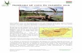PROGRAMA DE CAZA HUNGRÍA 20 7 - Sahel Safaris Ciervo...El cazador extranjero debe llevar su propia arma para cazar en Hungría. Desde el aeropuerto “Ferihegy” los cazadores salen