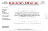 Boletín Oficialboletinoficial.sonora.gob.mx/boletin/images/bole... · de acuerdo a los lineamientos que establezca el Consejo Ciudadano para su identificación como tales, el Gobierno