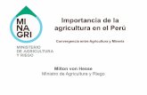 Importancia de la agricultura en el Perú · Selva 5.6% 94.4% Brecha en riego . Brecha en semillas Fuente: IV Censo Agropecuario, 2012 Elaboración Propia ... La principal actividad