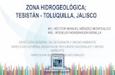 ZONA HIDROGEOLÓGICA; TESISTÁN - TOLUQUILLA, JALISCO · 2017-05-08 · zona hidrogeolÓgica; tesistÁn - toluquilla, jalisco direcciÓn general de geografÍa y medio ambiente direcciÓn