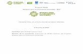 INFORME FINAL DE LA EVALUACIÓN DE MEDIO TÉRMINO · 2019-11-13 · 1 Evaluación de Medio Término del Proyecto Bosques para el Crecimiento Sostenible Resumen Ejecutivo Paraguay