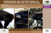 PROGRAMA DE ACCIÓN PARA LA CONSERVACIÓN …desde 2005 a través de un enlace y coordinación para sumar esfuerzos enfocados a la conservación de las tres especies de primates y