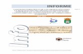 CONVENIO ESPECÍFICO DE COLABORACIÓN PARA LA … · 2014-01-21 · Informe – UCOMuseo Virtual · “Inmersión en la Red Internet de las Actas Capitulares del Ayuntamiento de Torrecampo