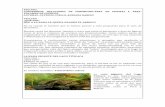 VEO,VEO… CONTENIDOS: RELACIONES DE PERÍMETROÁREA DE ...gpdmatematica.org.ar/wp-content/uploads/2015/08/veo_veo.pdf · Los animales más pequeños y de menor tasa ... barreras