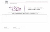MANUAL DE ORGANIZACIÓN DEL INSTITUTO DE LA MUJER …marcojuridico.morelos.gob.mx/archivos/varios/pdf/MANUALMUJERMO.pdf · misión y visión, estructura orgánica, organigrama, funciones