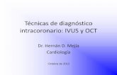 Técnicas de diagnóstico intracoronario: IVUS y OCT · Parámetros cuantitativos obtenidos por IVUS • Determinación del segmento de referencia. • Medidas de la luz del vaso: