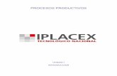 PROCESOS PRODUCTIVOSbiblioteca.iplacex.cl/MED/Procesos productivos.pdf · 2018-06-28 · La importancia de la Revolución Industrial en el Proceso de Producción La Revolución Industrial