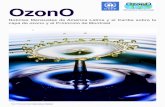 Boletin 3 copia 3 - Protocolo de Montreal · Capa de Ozono el 16 de septiembre es, "30 años de curación del Ozono Juntos." El tema es compatible con el lema, "Ozono: Todo lo que