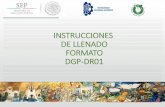 INSTRUCCIONES DE LLENADO FORMATO DGP-DR01tectijuana.edu.mx/.../2015/...DGP-DIGITAL-2018-2DA.pdfDGP-DR01. Por favor se le solicita lea detenidamente cada paso, para llenar correctamente
