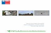 Informe Cuenta Pública Participativa Región de Magallanes ... · Tierra del Fuego, Abril 2015 . 1. Introducción 2. Ministerio del Medio Ambiente ... evitar una mayor exposición