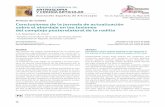 ISSN: 2386-3129 (impreso) online Artículo de revisión ... · Conclusiones de la jornada de actualización sobre el abordaje en las lesiones del complejo posterolateral de la rodilla