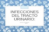 Infecciones del tracto urinario - Cibic Laboratorios · UROSEPSIS: Evidencia clínica de infección urinaria + criterios de sepsis SIRS (respuesta sistémica a la infección) T°