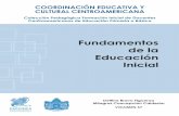 COORDINACIÓN EDUCATIVA Y CULTURAL CENTROAMERICANA · Presentación Han transcurrido aproximadamente dieciséis años desde cuando la Coordinación Educativa y Cultural Centroamericana