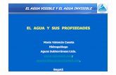 T-1-EL AGUA Y SUS PROPIEDADESaguassub.com/aguassubpdf/T-1-EL_AGUA_Y_SUS_PROPIEDADES.pdf(presión al nivel del mar). La temperatura crítica del agua, es decir, aquella a partir de