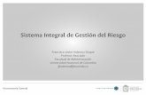 Sistema Integral de Gestión del Riesgosiga.unal.edu.co/images/contenido/componentes/Diagnostico_Riesgos.pdf · • Riesgo concebido como una carga y no como una herramienta de gestión.