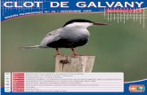 EDITORIAL - El Clot de Galvany · 2018-04-06 · 2 El 2007 es un año cargado de novedades para el P.N.M. del Clot de Galvany, por un lado, ha sido aprobada definitivamente la Modificación