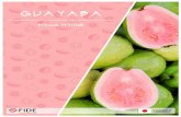 [Año] · rosada y blanca común de antioquía y guayaba agria; que se diferencia en su tamaño, peso y forma de producción. Según la variedad, la guayaba puede tener forma redondeada