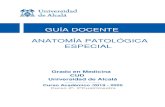 GUÍA DOCENTE ANATOMÍA PATOLÓGICA ESPECIAL · 2019-12-19 · ANATOMIA PATOLÓGICA GENERAL. El conocimiento adquirido por el alumno del material anatomopatológico que se estudia