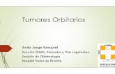 Tumores Orbitarios - Asociacion de Profesionales HGNPE Orbitarios.pdf · Controles normales de Oftalmología Infantil Al Recién Nacido y a los 6 meses de ese control (dos durante