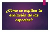 ¿Cómo se explica la evolución de las especies? · 2018-04-18 · La evolución asciende en una escalera de progreso La selección natural elimina los organismos poco adecuados