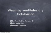 Weaning ventilatorio y Extubacion - Rama de …intensivo.sochipe.cl/subidos/catalogo3/Weaning...Weaning: Concepto Es la transición de un soporte ventilatorio a la respiración espontánea