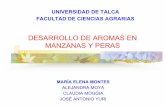 DESARROLLO DE AROMAS EN MANZANAS Y PERASpomaceas.utalca.cl/wp-content/uploads/2016/07/DESARROLLO...10,43 2-metil butanoato de hexilo Manzana, uva de mesa Químico, solvente, perfume