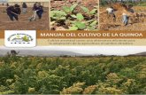 Libro de la quinoa FINAL - ceaza.clPor otro lado, el CEAZA ha generado el Programa de transferencia tecnológica en el cultivo y comercialización de la quinoa, el cual tiene como