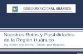 Nuestros Retos y Posibilidades de la Región Huánuco · 2020-01-25 · Potencial agrícola • Existen grandes áreas cafetaleras, té, cacao y maderas. • Además, los agricultores