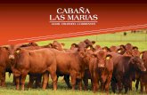 2018 11 - ORIG TRIPTICO CABAÑA LM-DIGITAL · La vegetación predominante son los pastizales de sabana, principalmente gramíneas de porte bajo, alternados con montes que insinúan