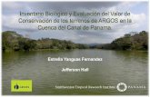 Estrella Yanguas Fernandez Jefferson Hallelti.fesprojects.net/2015_AguaSalud/Estudiodecaso3.pdf · 2015-03-26 · 1. Determinar la importancia ecológica de las plantaciones de ARGOS