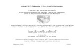 UNIVERSIDAD PANAMERICANAbiblio.upmx.mx/tesis/116887.pdf · 2009-03-09 · UNIVERSIDAD PANAMERICANA FACULTAD DE PEDAGOGÍA Con reconocimiento de Validez Oficial de Estudios ante la
